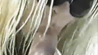 O casal alemão fodeu pela quero assistir o filme pornô gratuito primeira vez em Home video, HD.